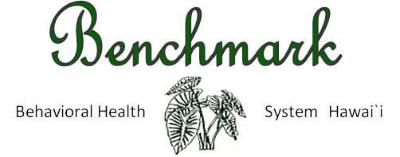 Benchmark Behavioral Health System Hawaii